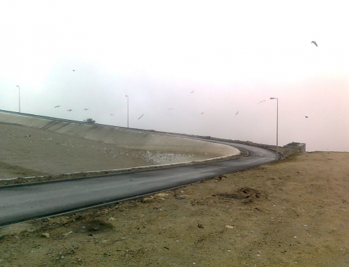 313/12 – Aterro Sanitário de Lustosa